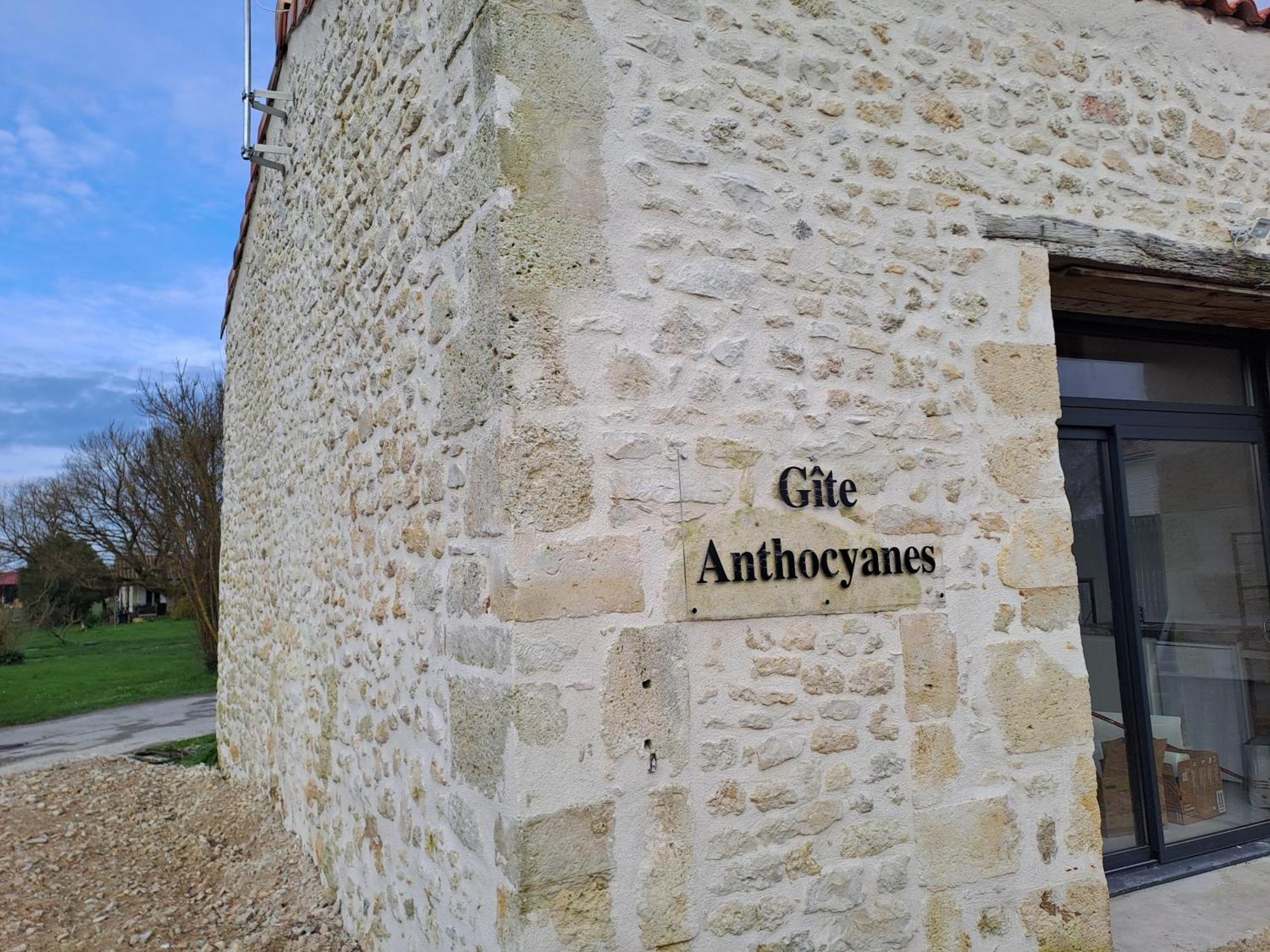 Chambres d'Hôtes Château Pierre de Montignac Civrac-en-Médoc Exterior foto