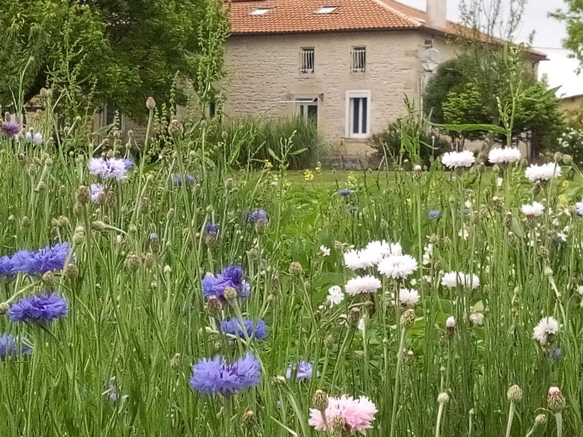 Chambres d'Hôtes Château Pierre de Montignac Civrac-en-Médoc Exterior foto