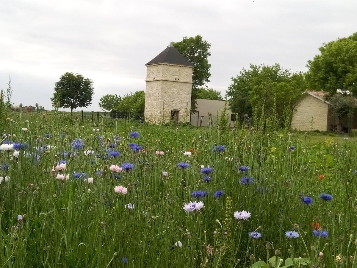 Chambres d'Hôtes Château Pierre de Montignac Civrac-en-Médoc Exterior foto